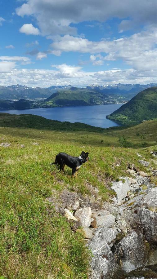 Tiny House With Fjordview! Lauvstad Exterior foto